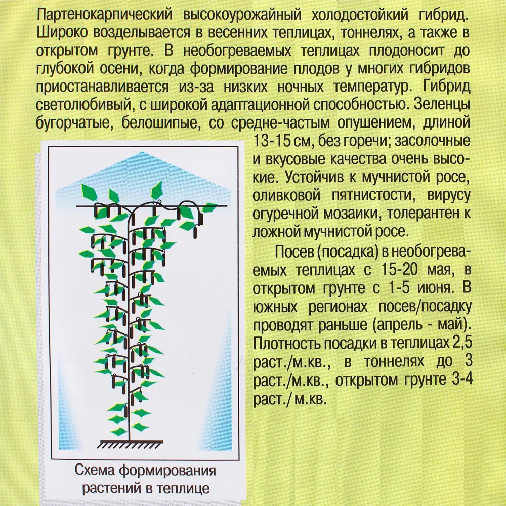 Семена Огурец «Вирента» F1 81932513 STLM-2104557 МАНУЛ  - Вид №2