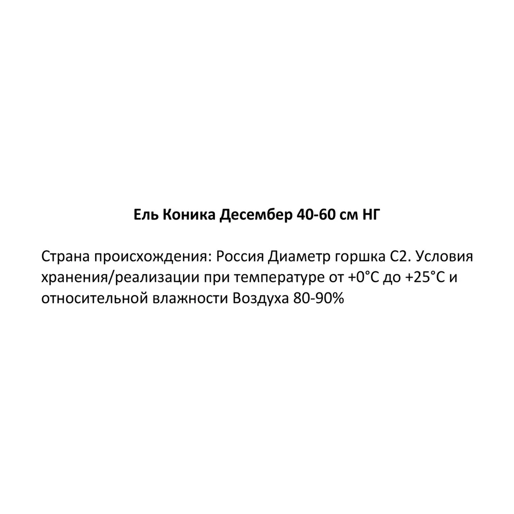 Ель Коника Десембер С2 h40-60 см Santreyd STLM-2192788 - Вид №1
