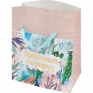 82179553 Пакет-коробка 79676, 22.5х13.5х20 см