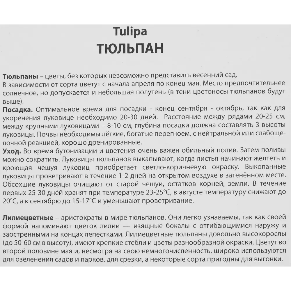 Тюльпан лилиецветный Рикуест луковица 12/14, 5 шт. 88294793 STLM-2080167 Santreyd  - Вид №2