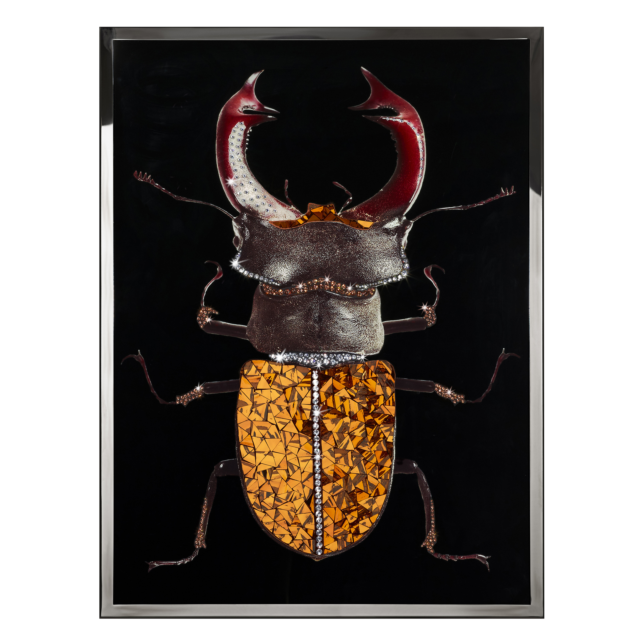 Coleottero Ambra Смешанная техника Visionnaire  - Вид №1