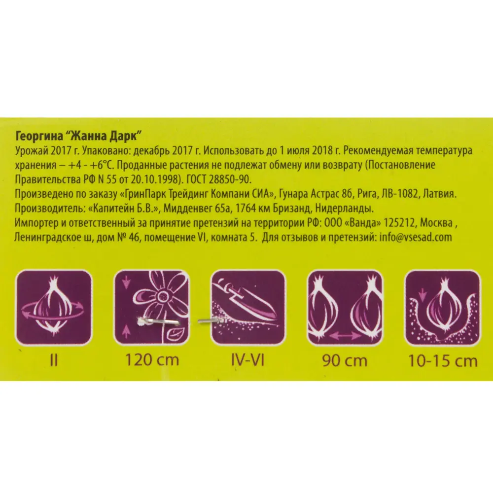 Георгина кактусовая «Жанна Д`Арк» Santreyd STLM-2135058 - Вид №2