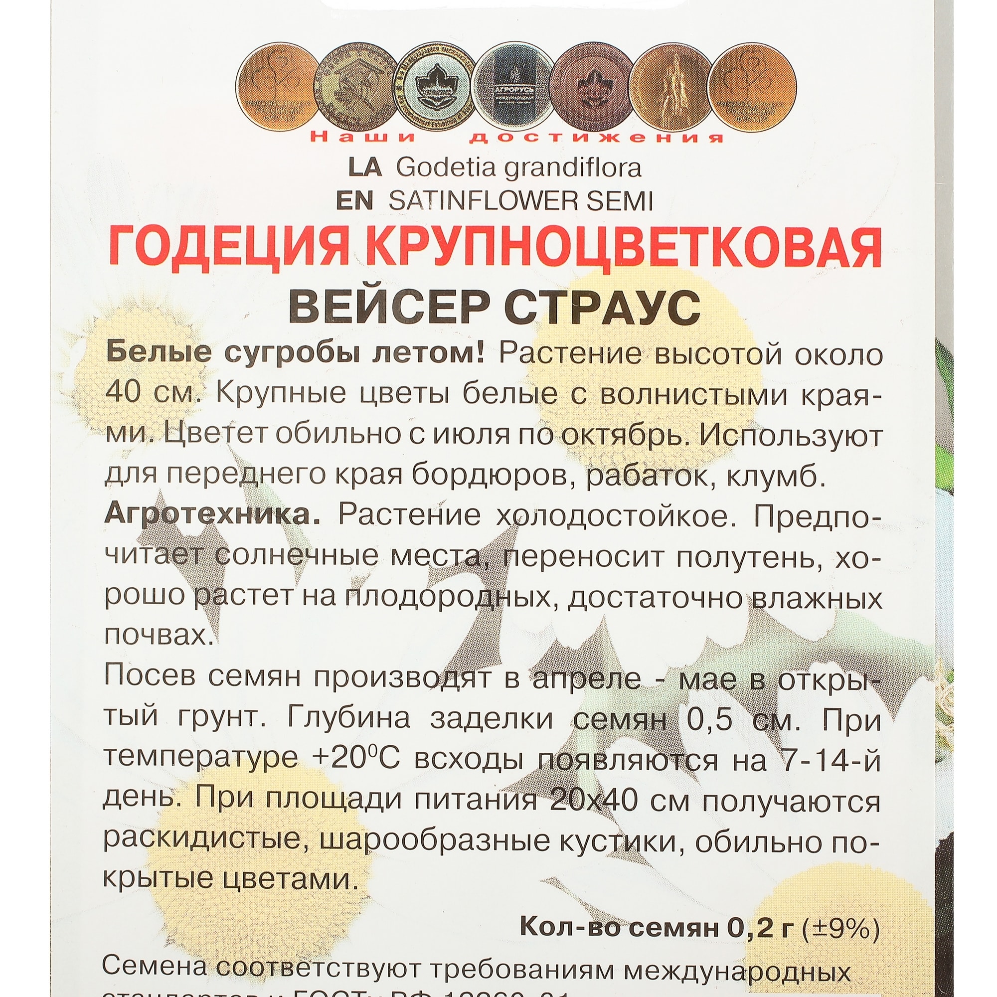 17229611 Годеция крупноцветковая «Вейсер Страус» Santreyd  - Вид №2