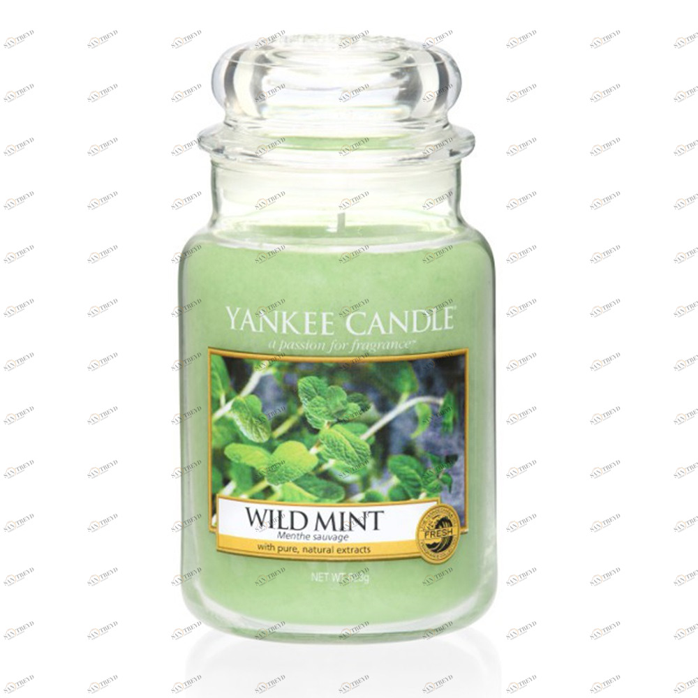Свеча большая в стеклянной банке "Дикая мята" 623 гр 110-150 часов YANKEE CANDLE  267812 Зеленый 