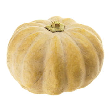 Тыква Ромашка 4 - 8 кг Santreyd 24505