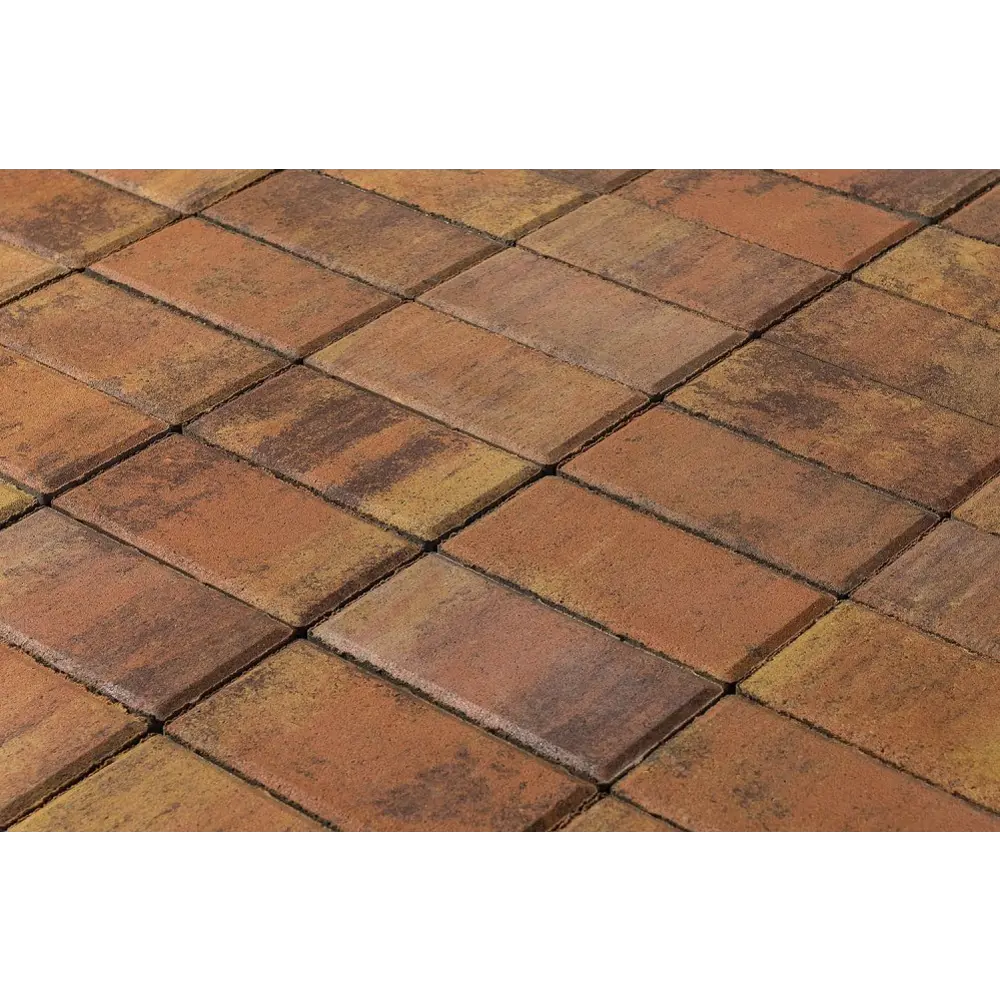 Тротуарная плитка BRAER Прямоугольник 200x100 мм - Природная эстетика для садовых дорожек 82770034 STLM-0035754 - Вид №3