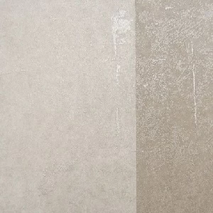 227344 Обои Rasch Tintura