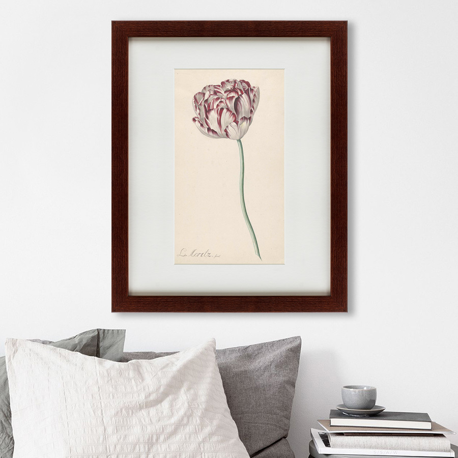 Литография на тонированной бумаге 42х52 см Tulp №2, 1815 КАРТИНЫ В КВАРТИРУ  135616 Бежевый;белый;розовый;разноцветный  - Вид №1