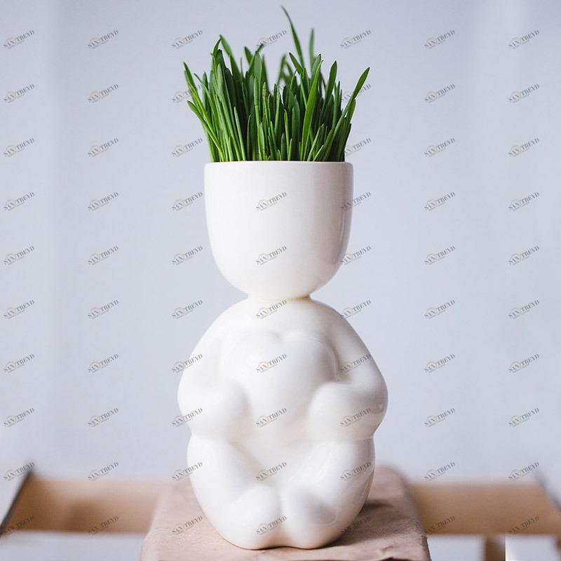 Набор для выращивания eco Романтик ЭКОЧЕЛОВЕКИ  254581 Белый 