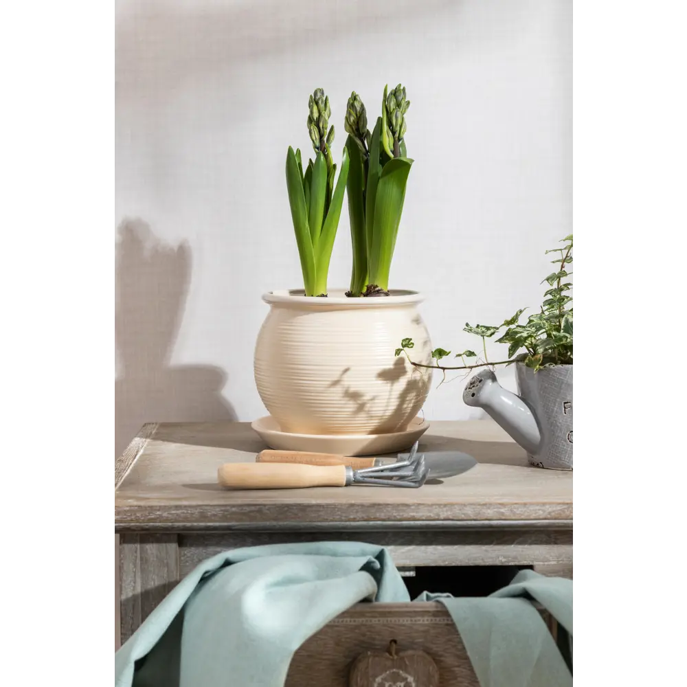 Santreyd Горшок керамический для комнатных растений с дренажной системой 16141431 Марс STLM-0006586 - Вид №3