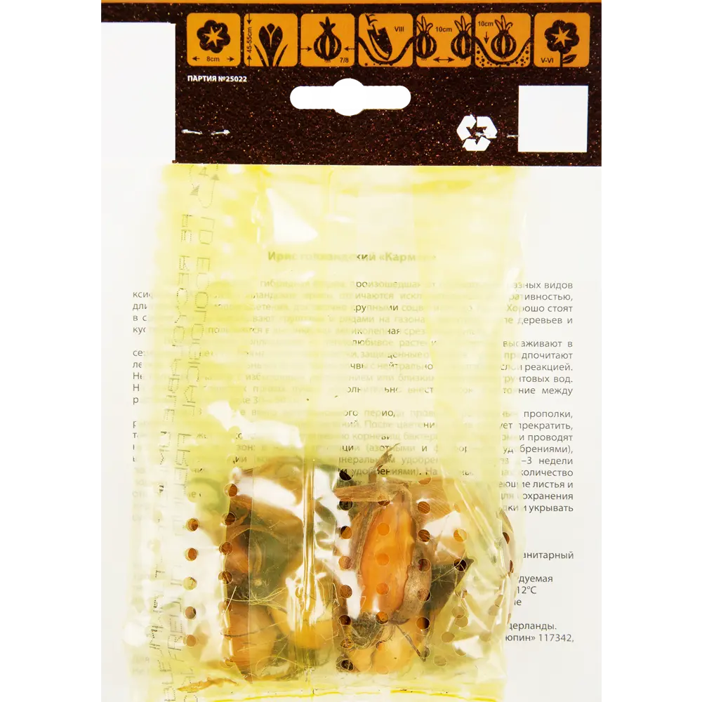 Ирис Кармен 7/8, 8 шт Santreyd STLM-2050712 - Вид №2