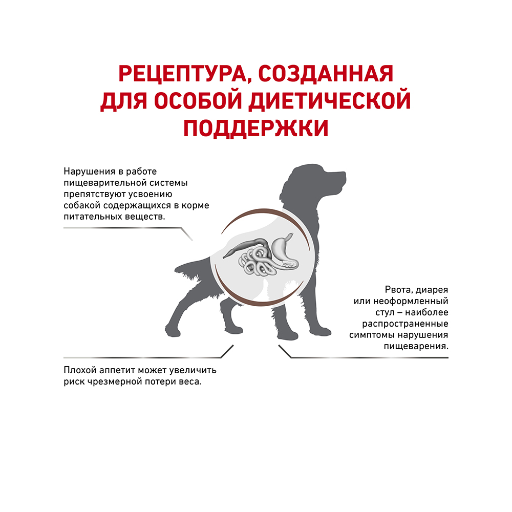 ПР0053519 Корм для собак Vet Diet Gastro Intestinal GI25 при нарушениях пищеварения сух. 15кг ROYAL CANIN  - Вид №2