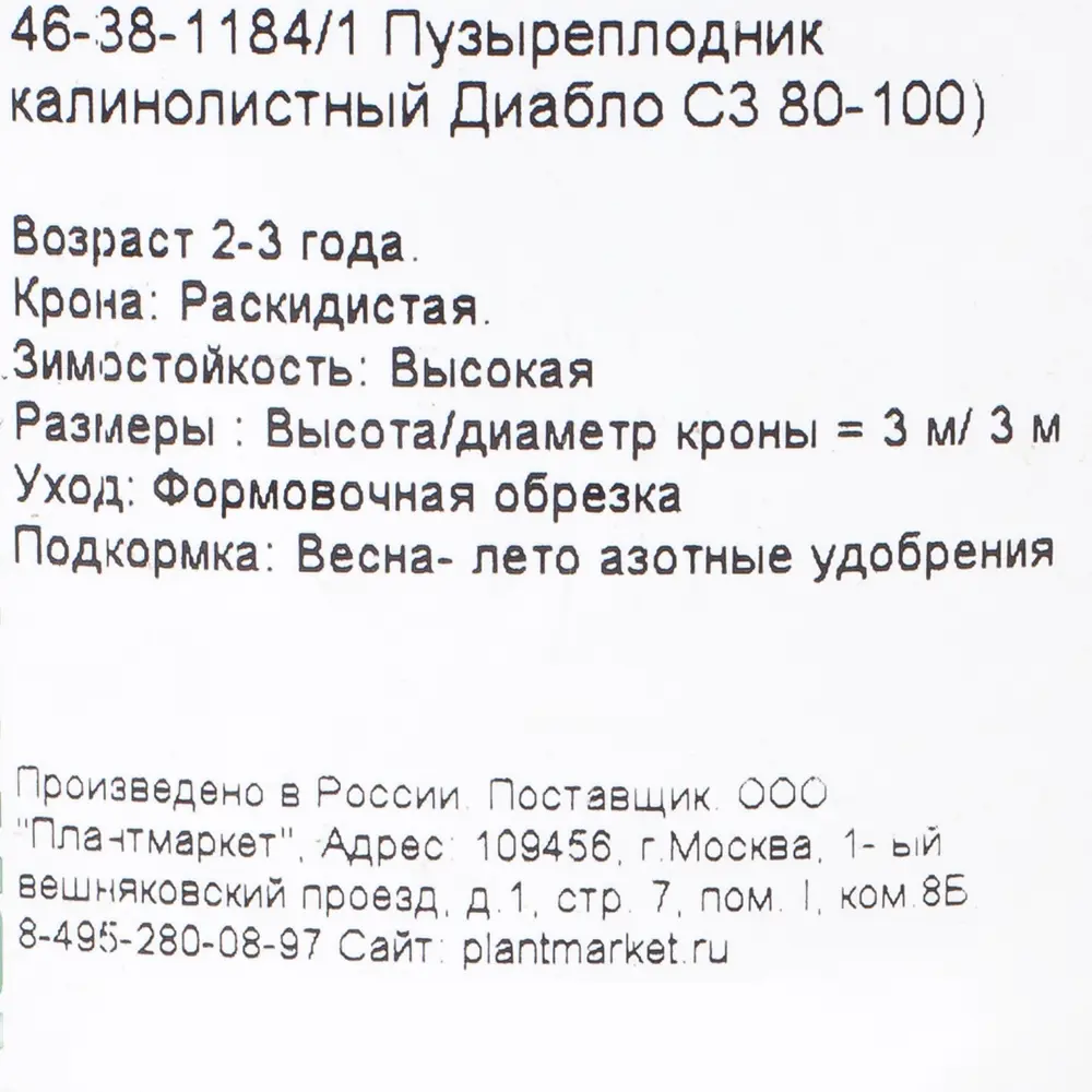 Пузыреплодник калинолистный «Диабло», С3/80-100 см 18468630 STLM-2006440 Santreyd  - Вид №1