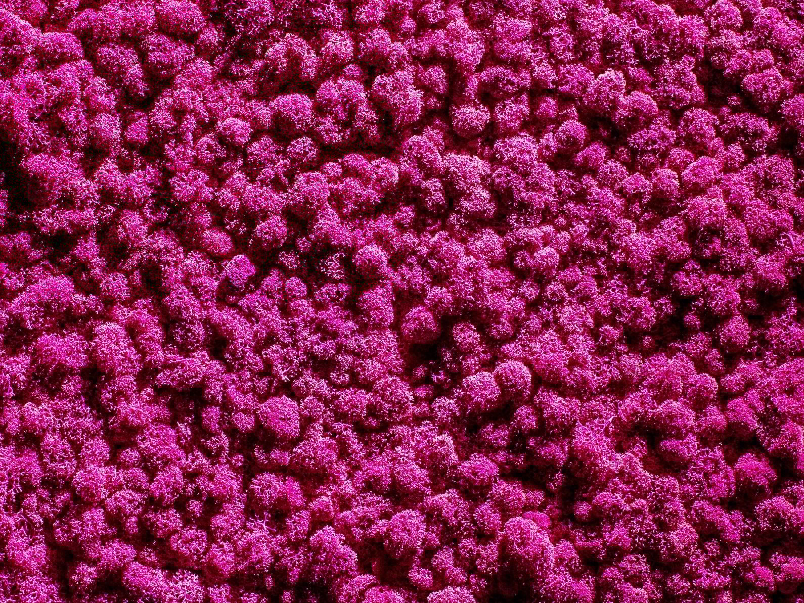 Растительная стена из мха Freund GmbH Green ARCH-00131248 - Вид №17