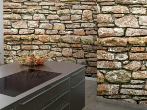 BARRISOL Натяжная стена из пвх с принтом для интерьера