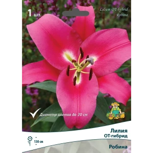 Лилия ОТ-гибрид Робина луковица 14/16 83597470 STLM-2004457