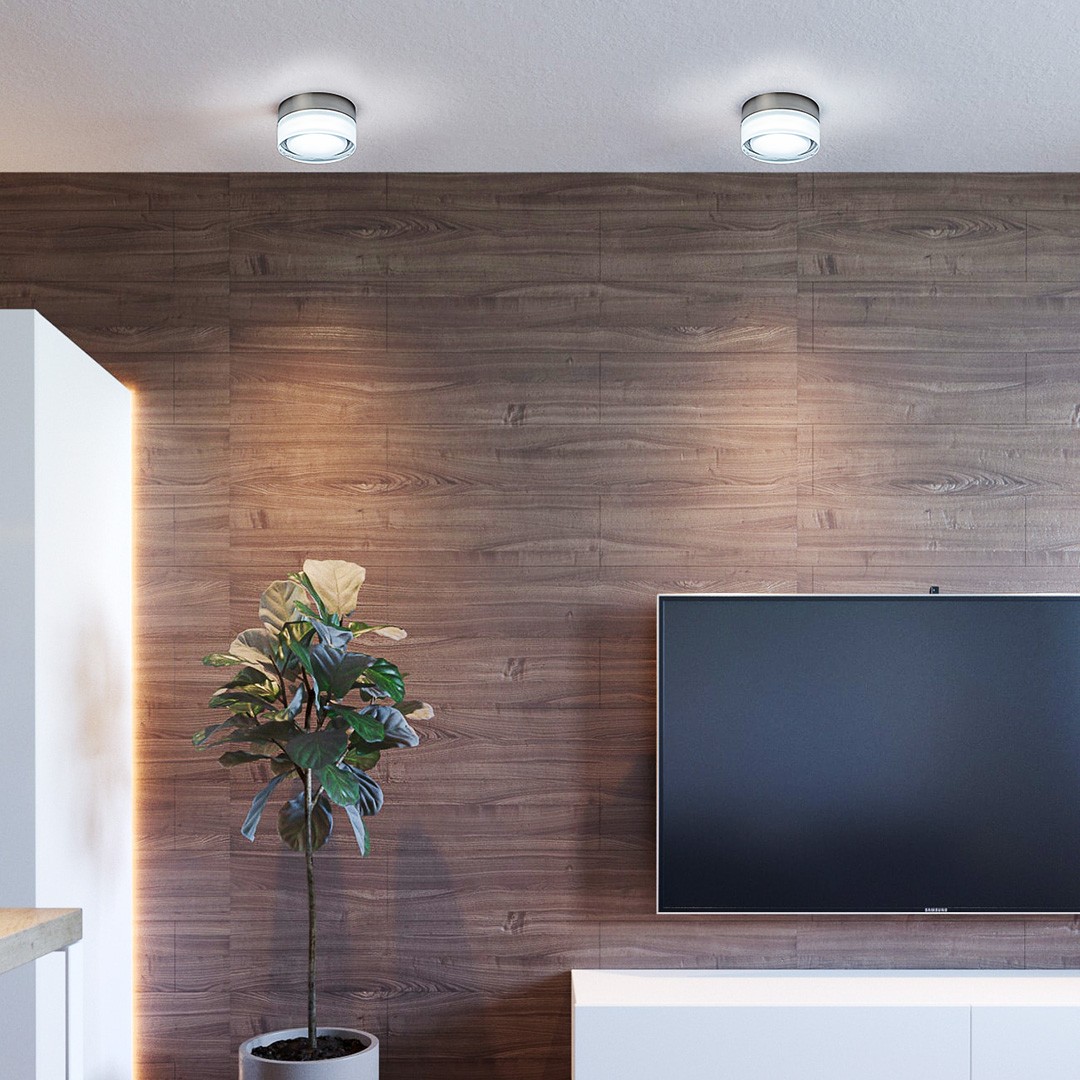 Frezia Light 1001 satin nickel светильник настенно-потолочный 116013 - Вид №1