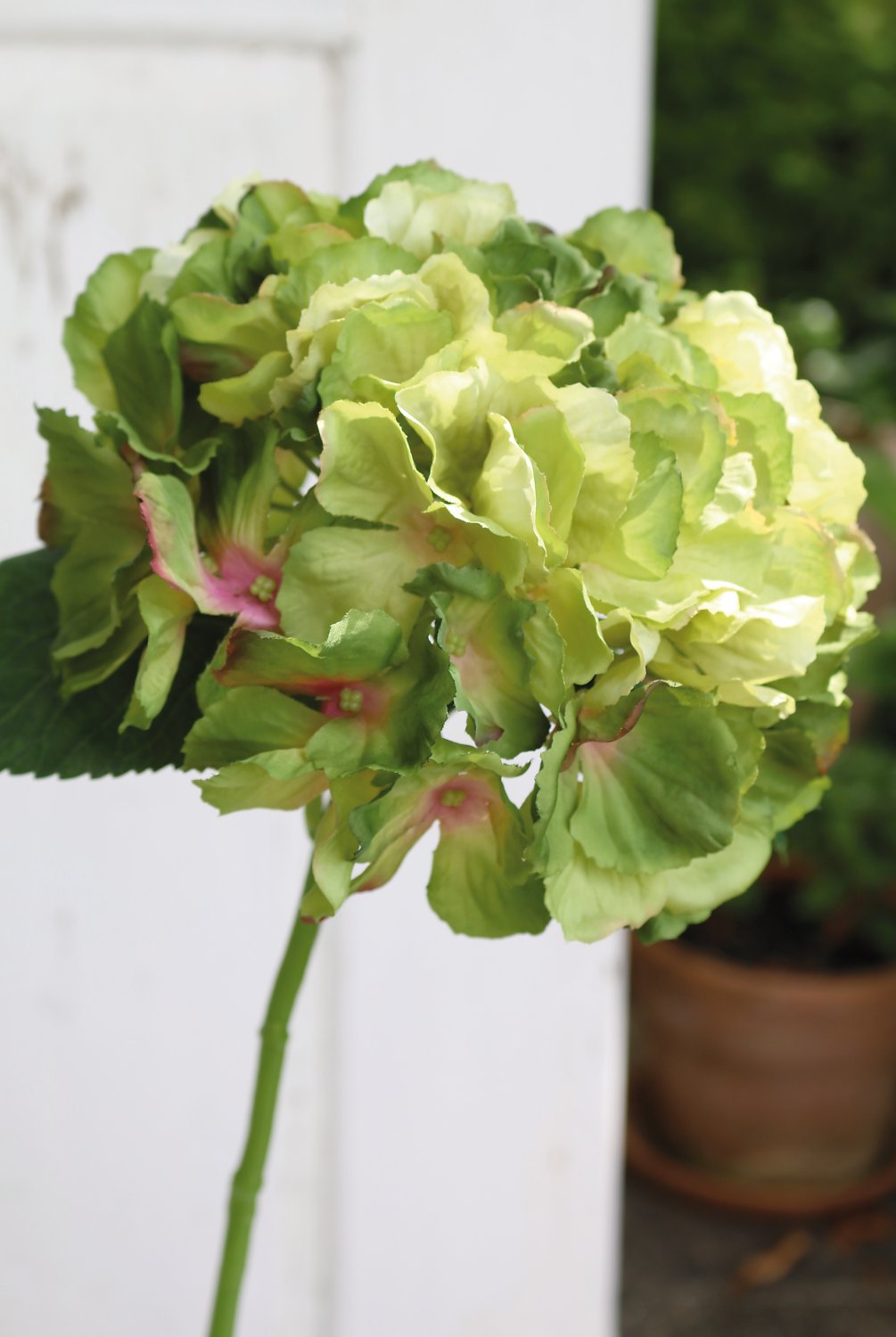 9901 883 a3 Гортензия искусственная, 40 см, зеленая H-andreas  - Вид №3