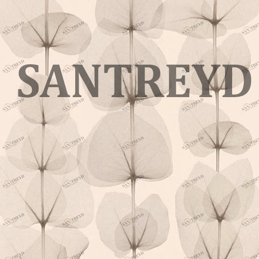 34245-1 Обои A.S. Creation X-Ray 342451