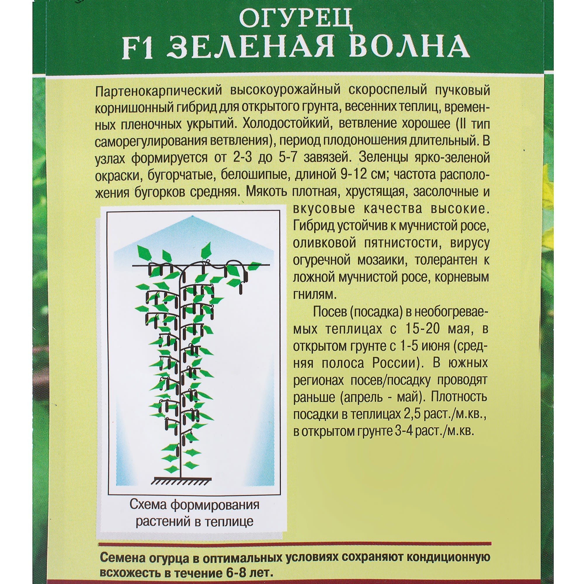 81932529 Семена Огурец «Зелёная волна» F1 Santreyd  - Вид №2