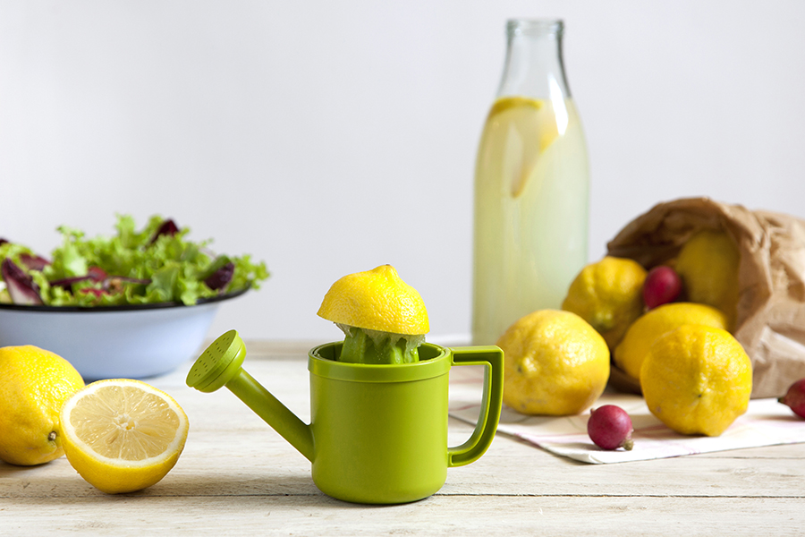 PE600 Соковыжималка для лимонов lemoniere Peleg Design  - Вид №10