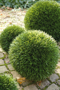 4886 883 a3 Пластиковый мяч для травы, синтетический материал, Ø 43 см, зеленый H-andreas