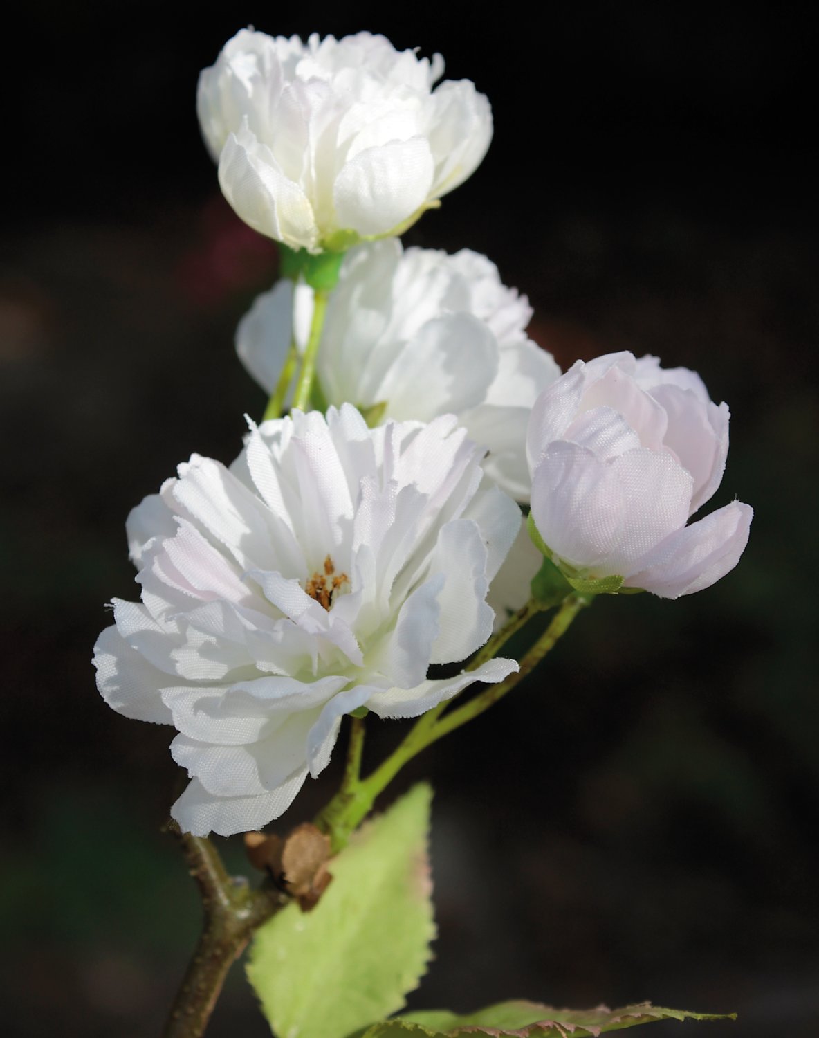 5505 778 a3 Искусственное дерево сакуры, в горшке, 168 см, бежево-белое H-andreas  - Вид №2