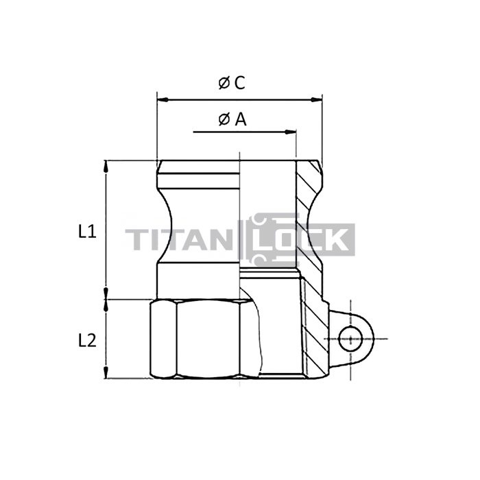 Камлок полипропиленовый тип А ниппель, внутр. резьба BSP 1 1/2", TL150APP TITAN LOCK  - Вид №1