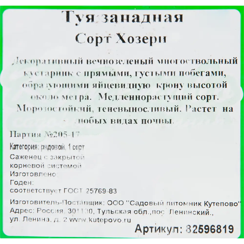 Туя западная «Хозери» 15x30 см 82596819 STLM-2025315 Santreyd  - Вид №1