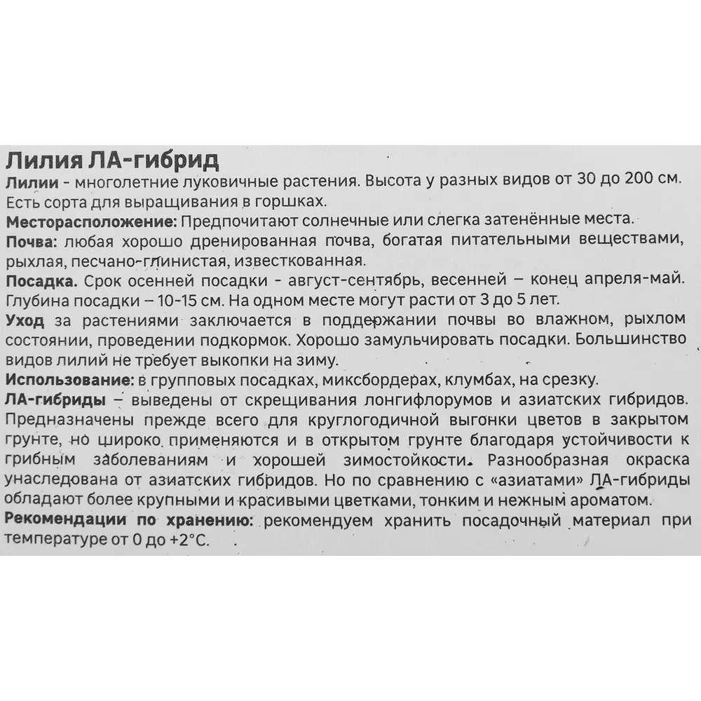 Лилия ла-гибрид Санкрест 86408634 STLM-2017841 Santreyd  - Вид №3