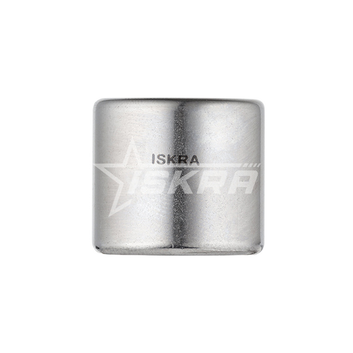 IS1651 Подшипник HK20202RS ISKRA  - Вид №5