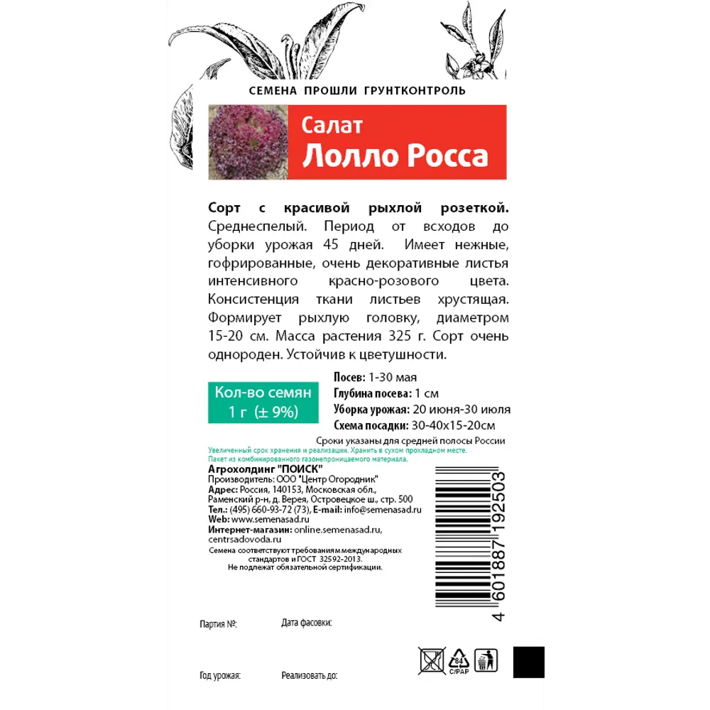 Семена Салат Лолло Росса серия Семетра Поиск 83147212 STLM-2151327  - Вид №1