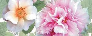 Dec Passion Panno B 20х50