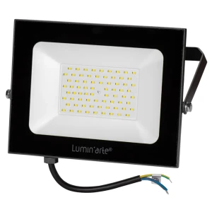 Прожектор светодиодный уличный Luminarte 100 Вт 5700K IP65 холодный белый свет 83830075 STLM-2179541