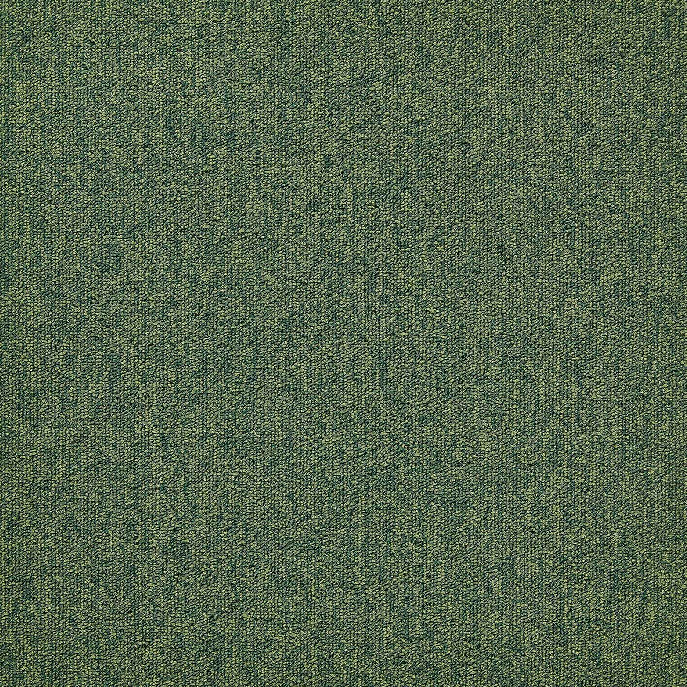 Нейлон®сплошной цвет ковер MODULYSS First ARCH-00055876 - Вид №15