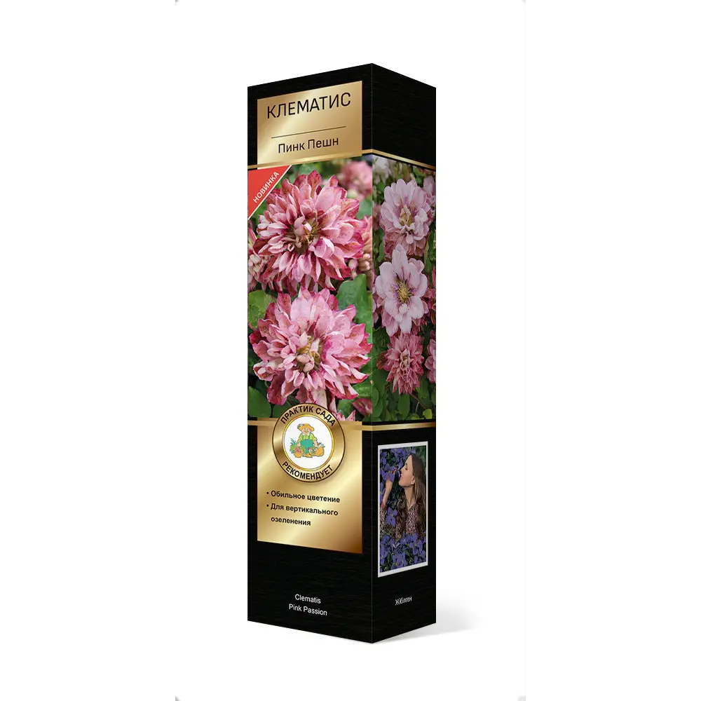 Клематис крупноцветковый Люкс Пинк Пешн h30 см 83431359 STLM-2210473 Santreyd 