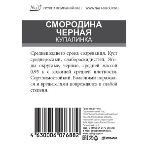 Смородина черная Купалинка ø15 h50 см 85670472 STLM-2131173