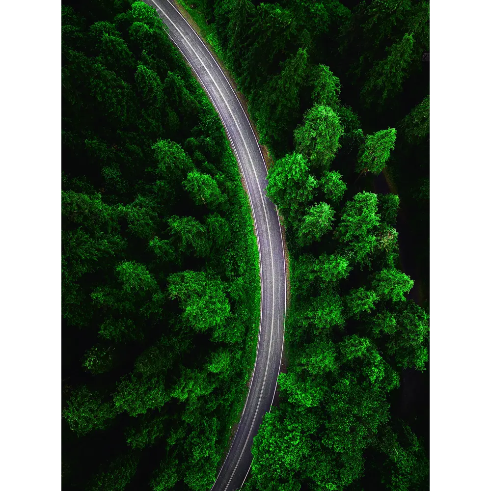 Постер «Лесная дорога» 30x40 см Santreyd STLM-2026372