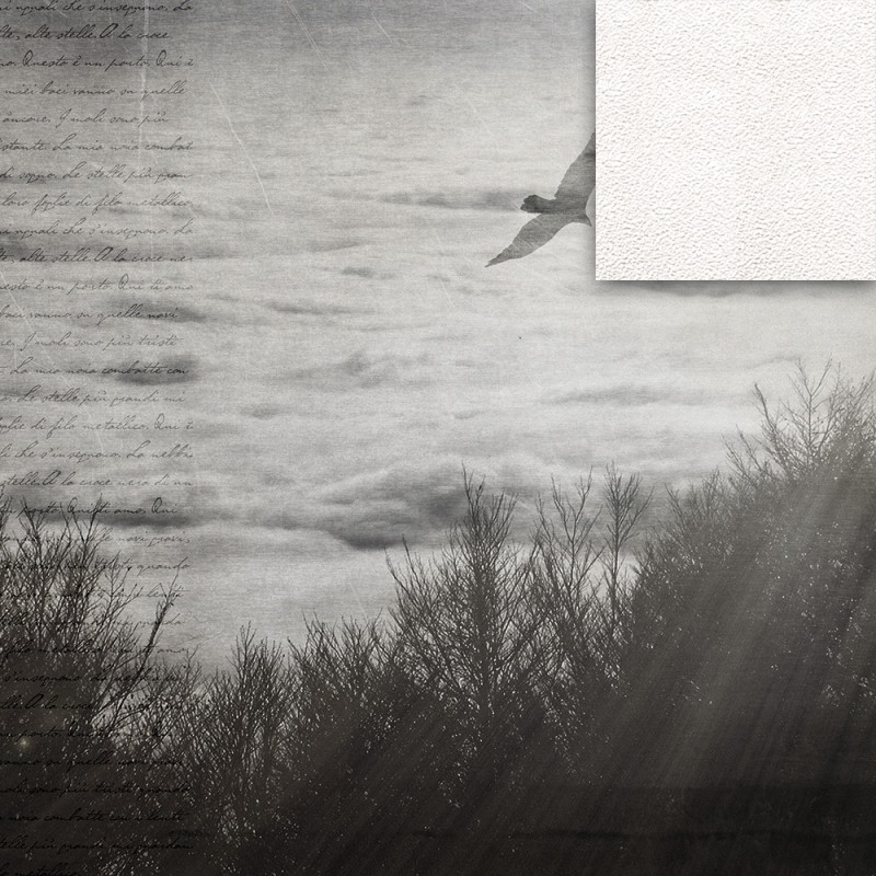 WP02008A Обои декоративные Adriani e Rossi  - Вид №1