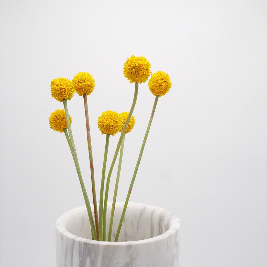 Краспедия желтая шаровидная ветка с цветами 60 см Mr Plant 111950 - Вид №2
