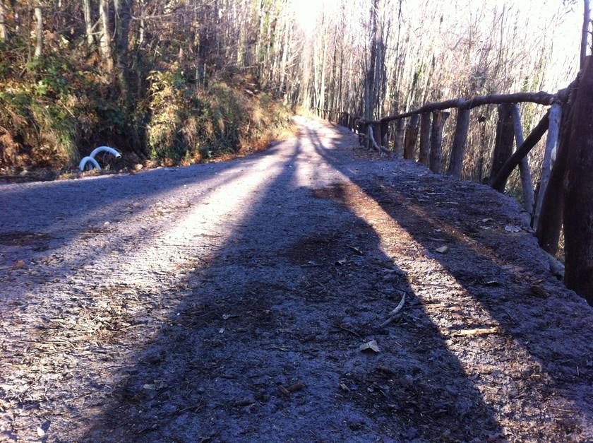 Terra Solida Укрепление грунта и фундамента Nature stabil road sun-id-1385687 - Вид №13