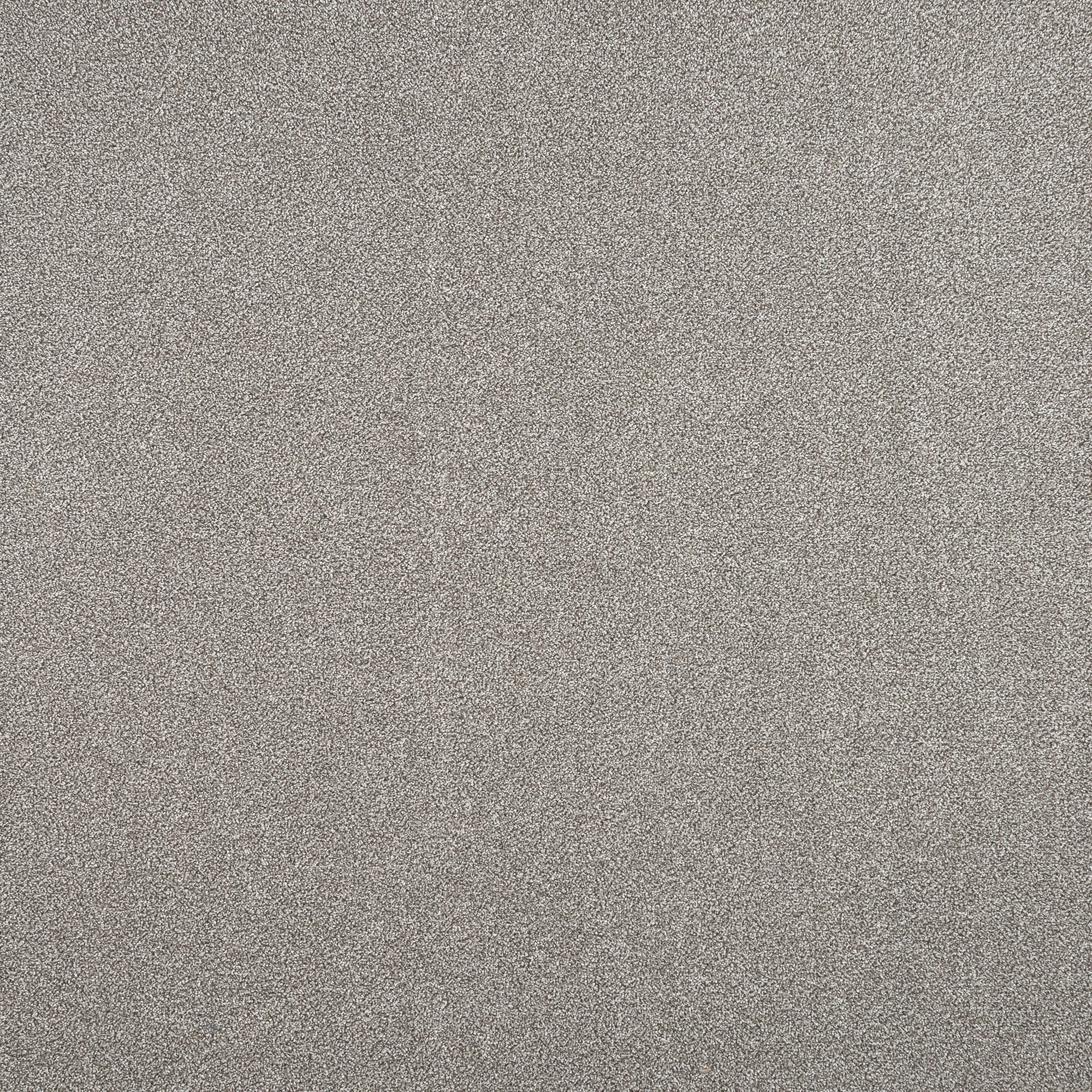 82248126 Ковровое покрытие «Парадиз 580», 3 м, цвет жемчуг Santreyd 