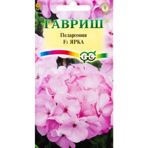 ГАВРИШ Пеларгония Ярка F1 - розовые шары цветов круглый год 82097859