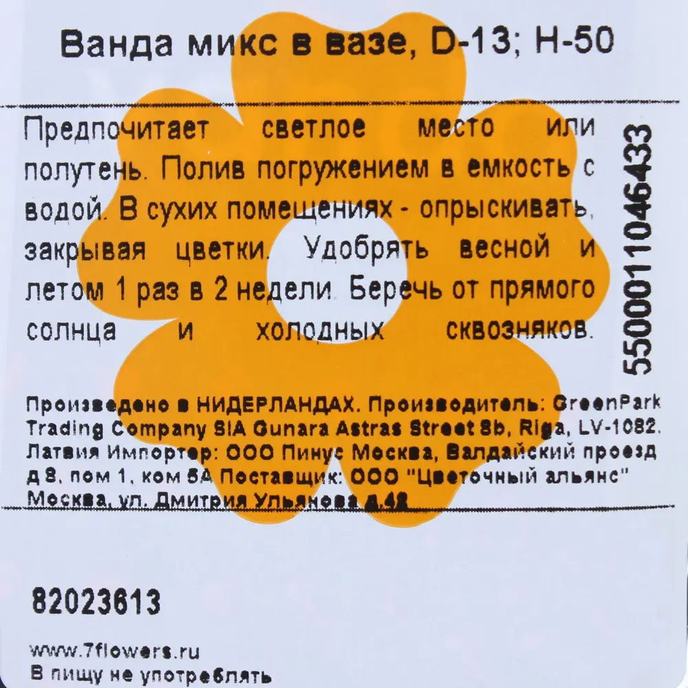 Орхидея Ванда в вазе ø13 h50 см 82023613 STLM-2212663 Santreyd  - Вид №4