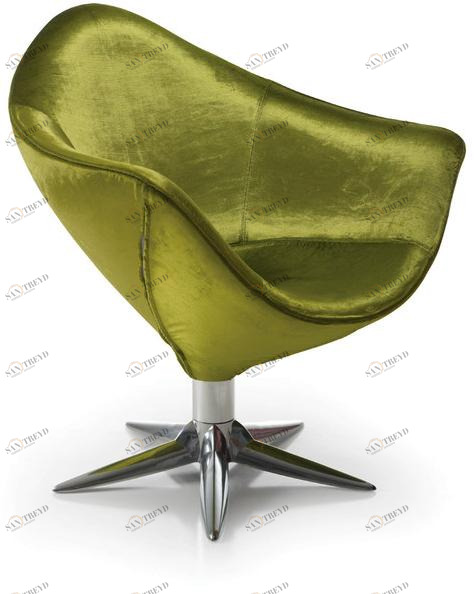 Gamma & Bross First class  Cst001di 