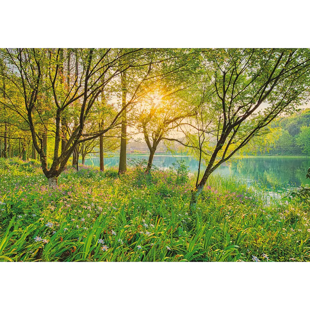Фотообои бумажные, 368х254 см, Озеро Komar STLM-2157641