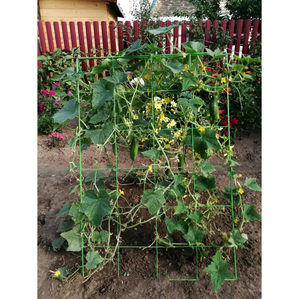 Шпалера для огурцов 78x115 см сталь зеленый Santreyd STLM-2183448 - Вид №7