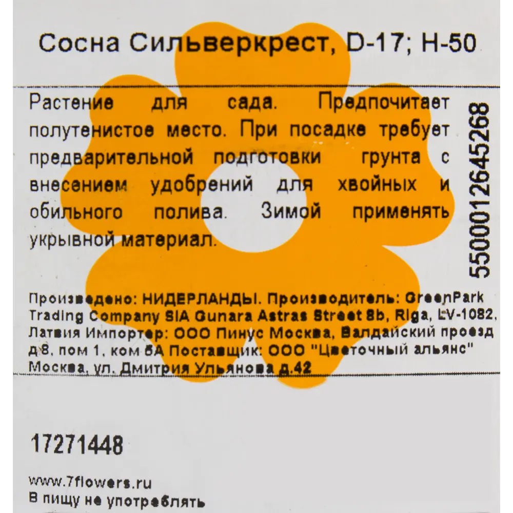 Сосна живая «Сильверкрест», 40x10.5 см 17271448 STLM-2151761 Santreyd  - Вид №2