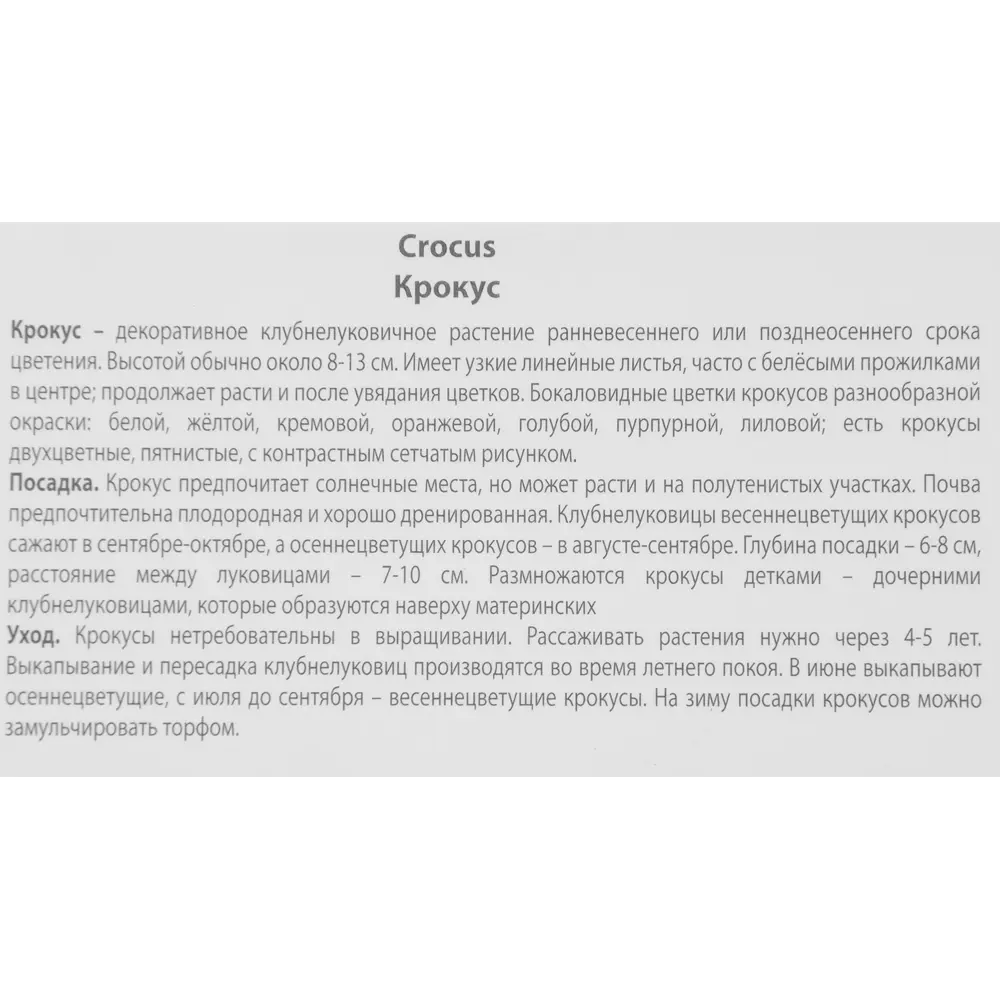 Крокус крупноцветковый микс 8/9, 10 шт 17981061 STLM-2093132 Santreyd  - Вид №2