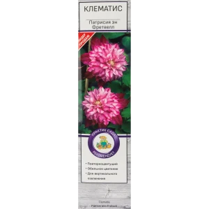 Клематис крупноцветковый Патрисия эн Фретвелл 82527615 STLM-2095259